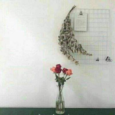 广场传奇官方