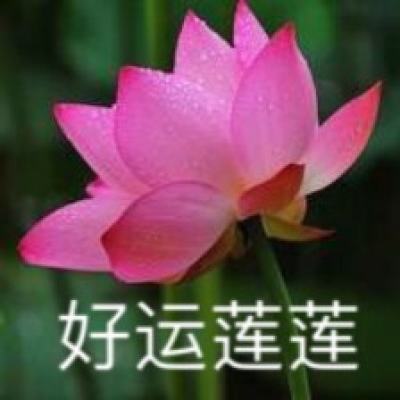 散人攻沙公益服手游下载